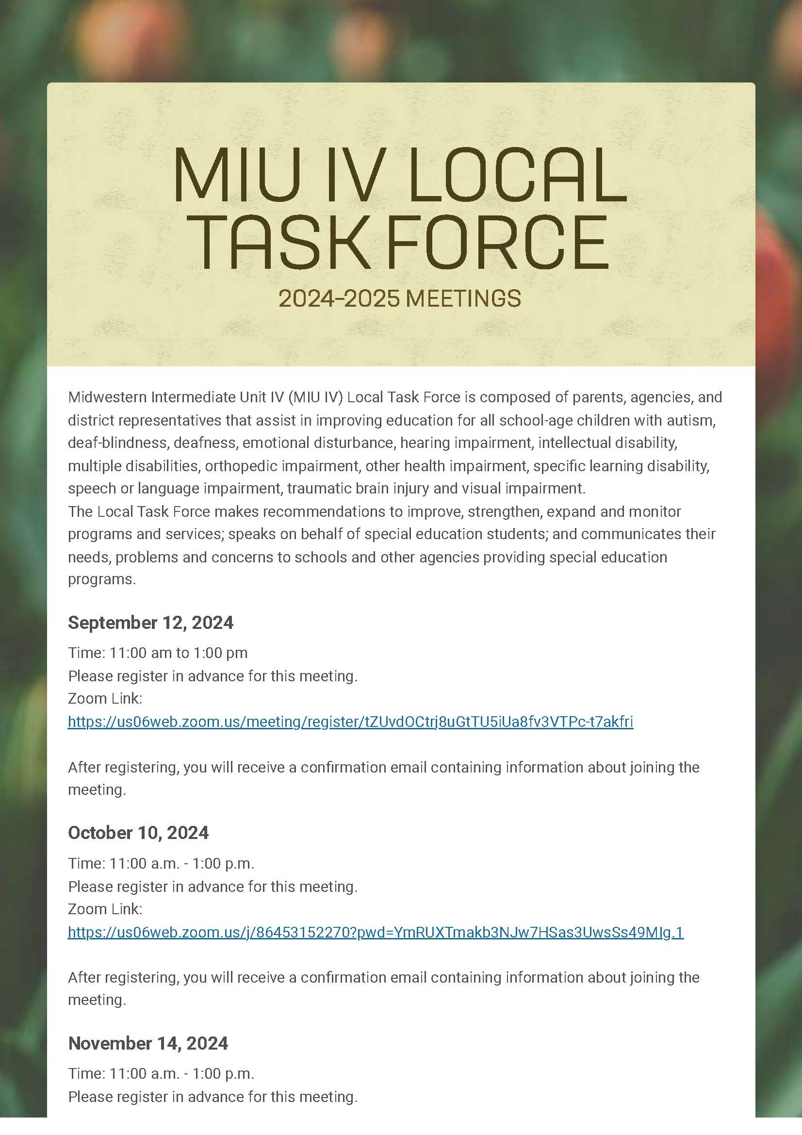 MIU IV Local Task Force Flyer
