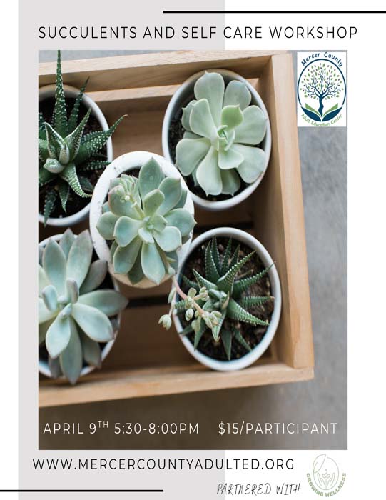 Succulents and Self Care Workshop