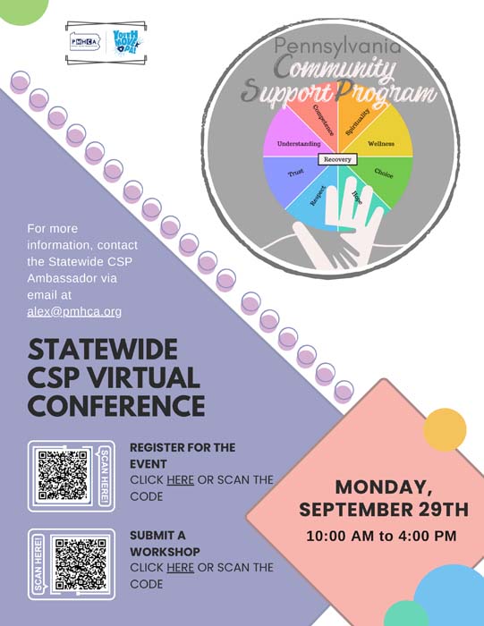 Statewide CSP Virtual Conference