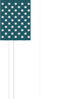 American Flag