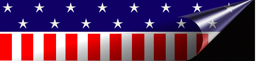 flagbox.gif (19382 bytes)