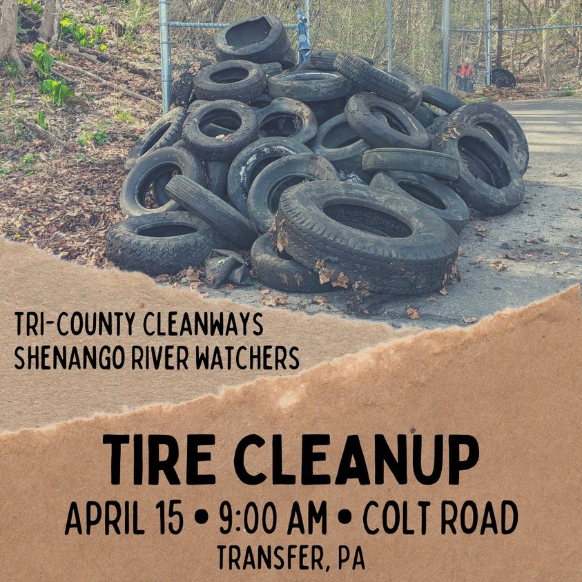 Tire Cleanup Flyer for Colt Road , Transfer, PA